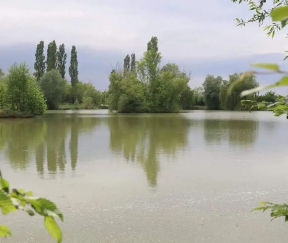 Lac de Laneuville Image