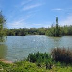 Lac de Laneuville Image
