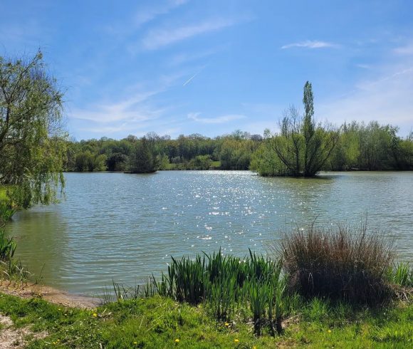 Lac de Laneuville Image