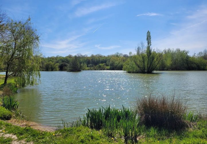 Lac de Laneuville Image