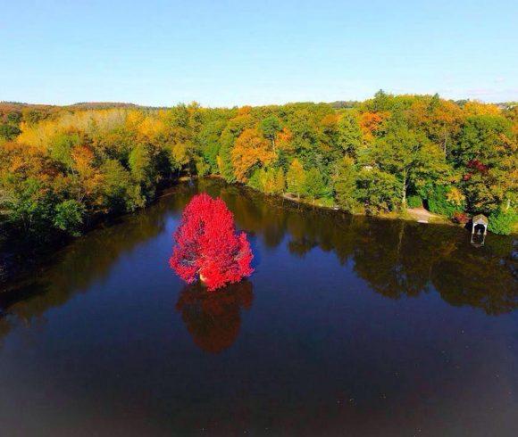 Etang des Landes Image