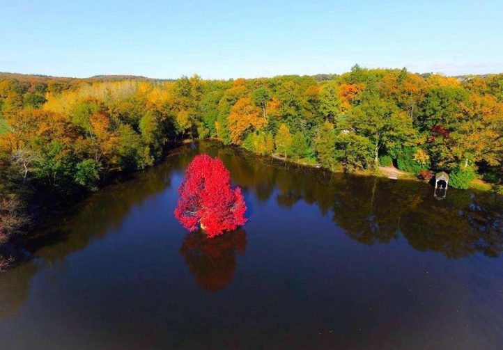 Etang des Landes Image