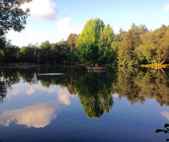 Etang des Landes Image