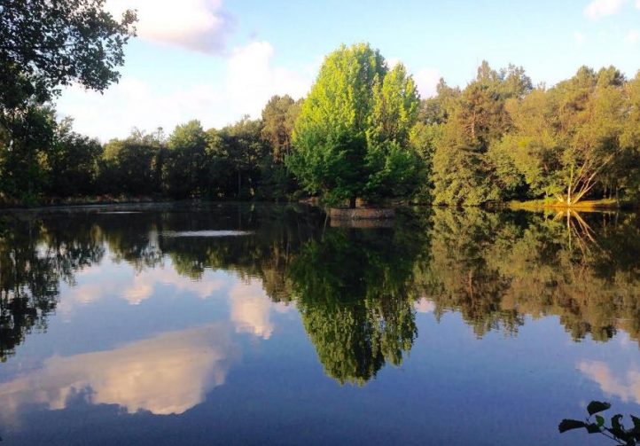 Etang des Landes Image