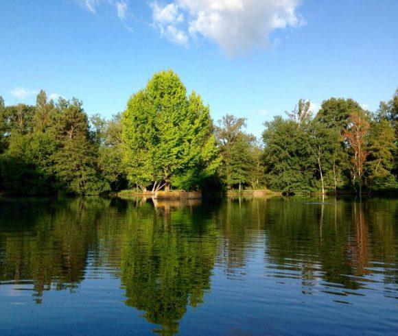 Etang des Landes Image