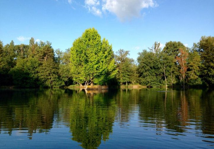 Etang des Landes Image