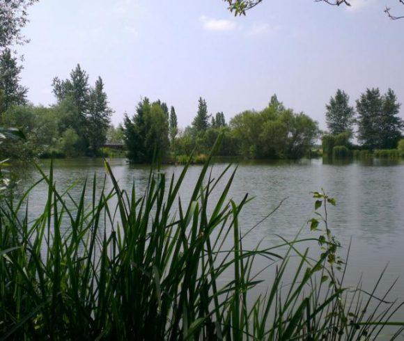 Lac de Laneuville Image