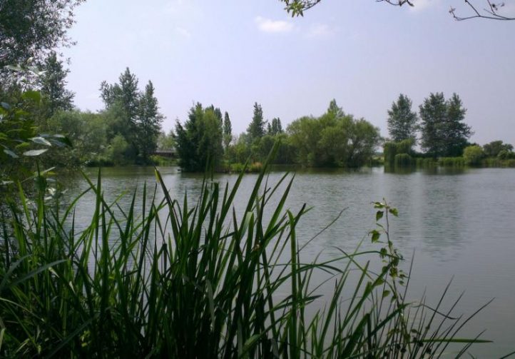 Lac de Laneuville Image