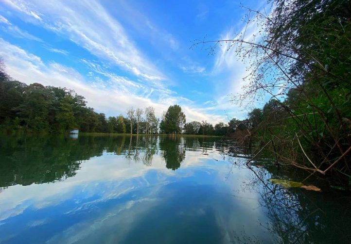 Etang des Landes Image