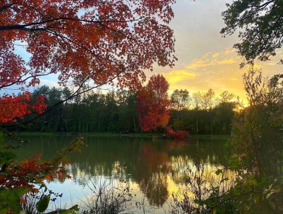 Etang des Landes Image