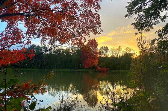 Etang des Landes Image