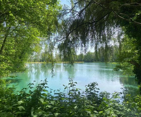 Etang des Landes Image