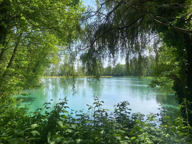 Etang des Landes Image