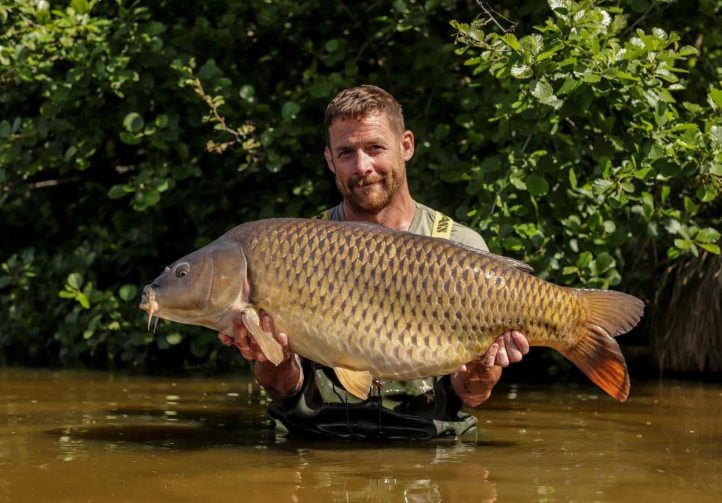 Etang de Villaine Image