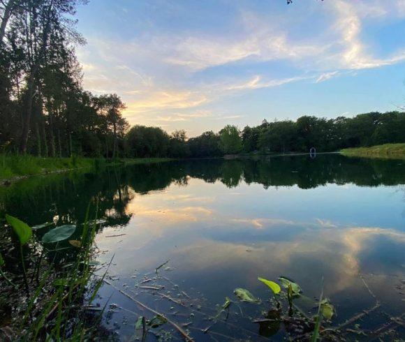 Etang des Landes Image