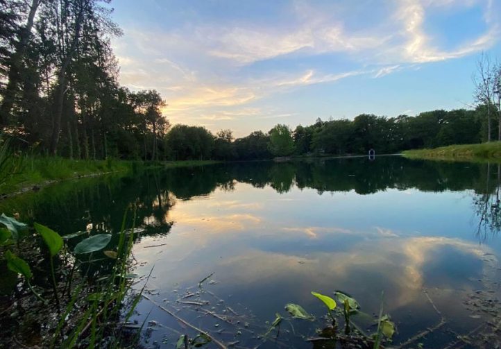 Etang des Landes Image