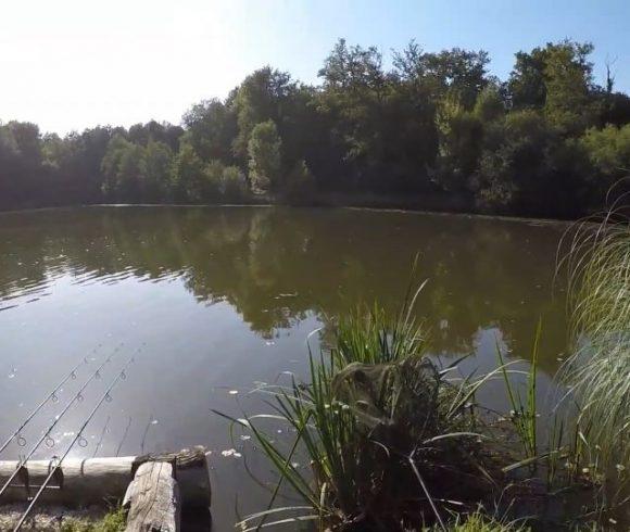 Lac Lucie – Carp France Fisheries Image