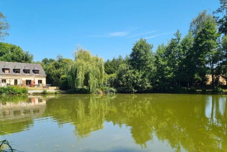 Firs Lake Image