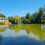 Firs Lake Image