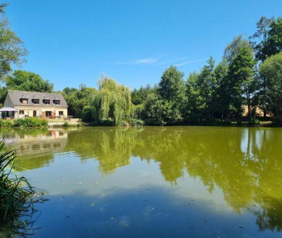Firs Lake Image