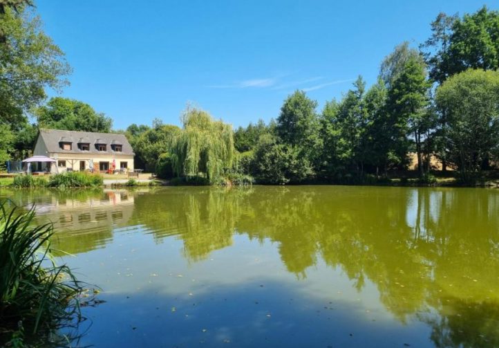 Firs Lake Image