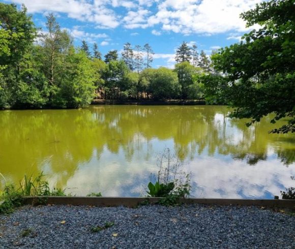 Firs Lake Image