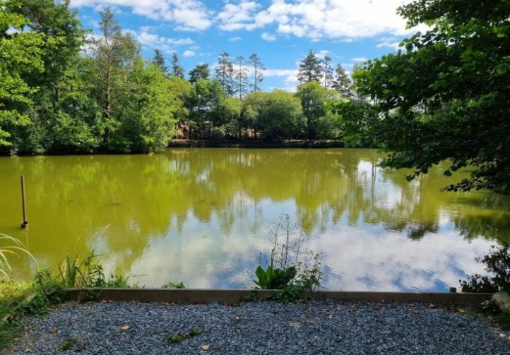 Firs Lake Image