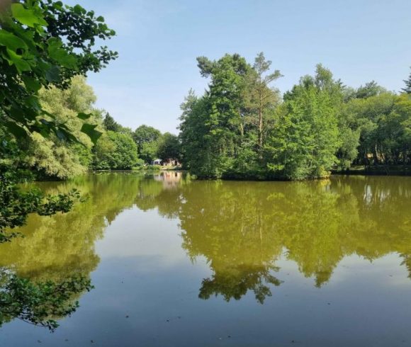 Firs Lake Image