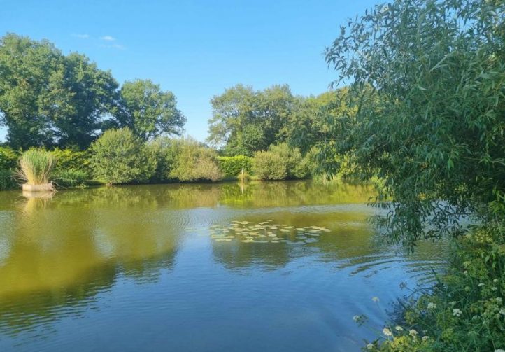 Firs Lake Image