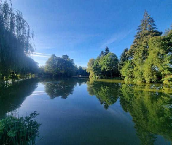 Firs Lake Image