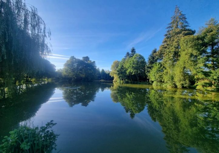 Firs Lake Image