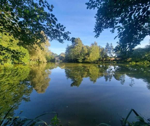 Firs Lake Image
