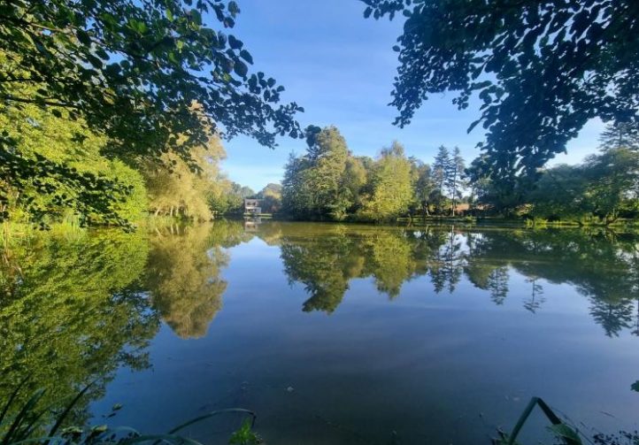 Firs Lake Image