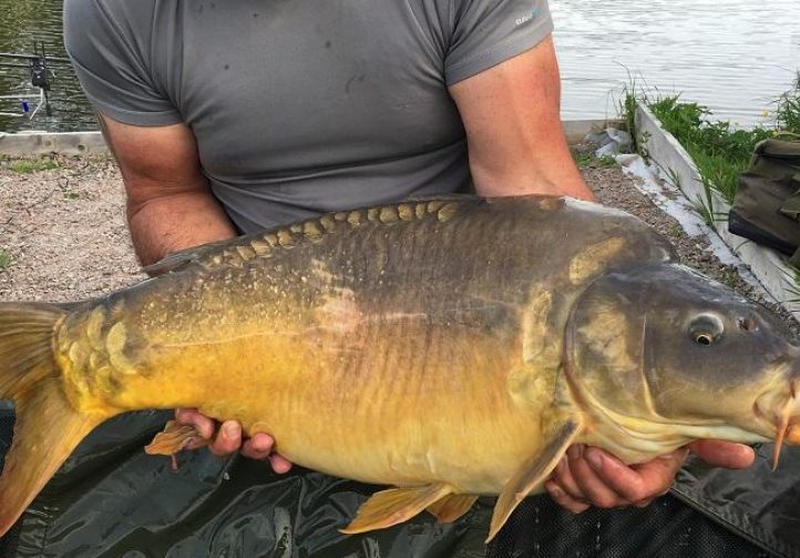 Lac Baleine France Carp Lakes Near Calais Dream Carp Holidays