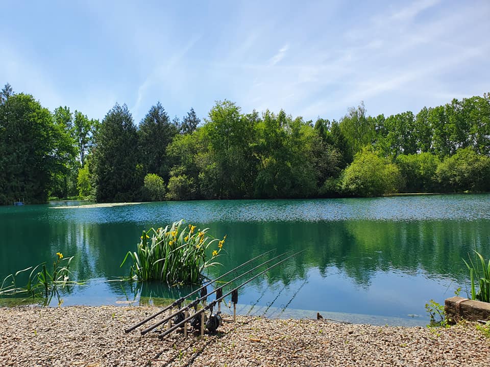 6 Amazing Carp fishing lakes in Brittany France