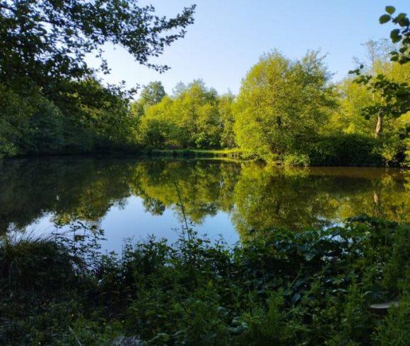 Millstone Pool Image