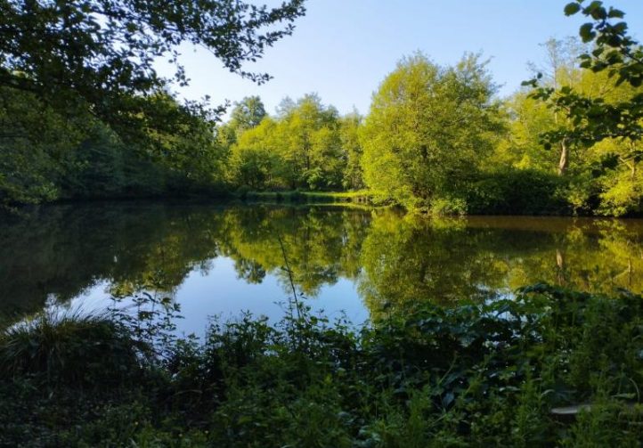 Millstone Pool Image