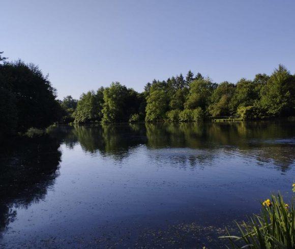 Millstone Pool Image