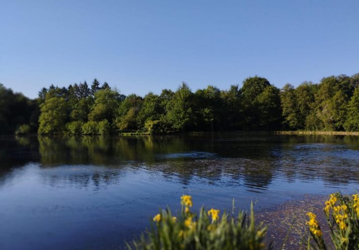 Millstone Pool Image