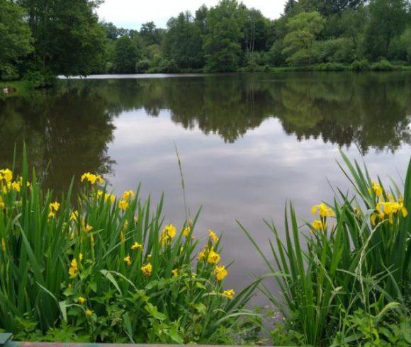 Millstone Pool Image