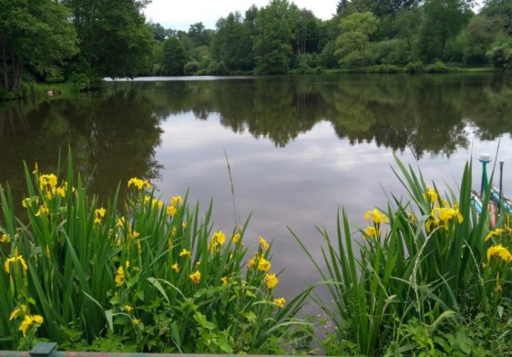 Millstone Pool Image