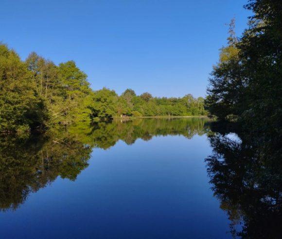 Millstone Pool Image
