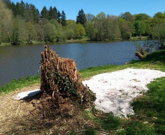 Millstone Pool Image