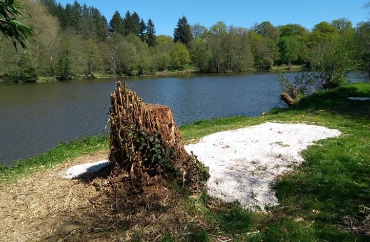 Millstone Pool Image