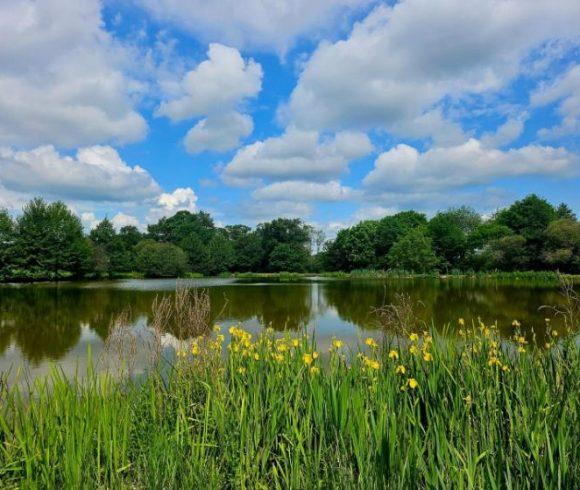 Lac des Demoiselles Image