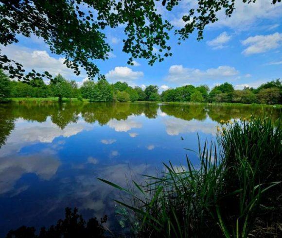 Lac des Demoiselles Image