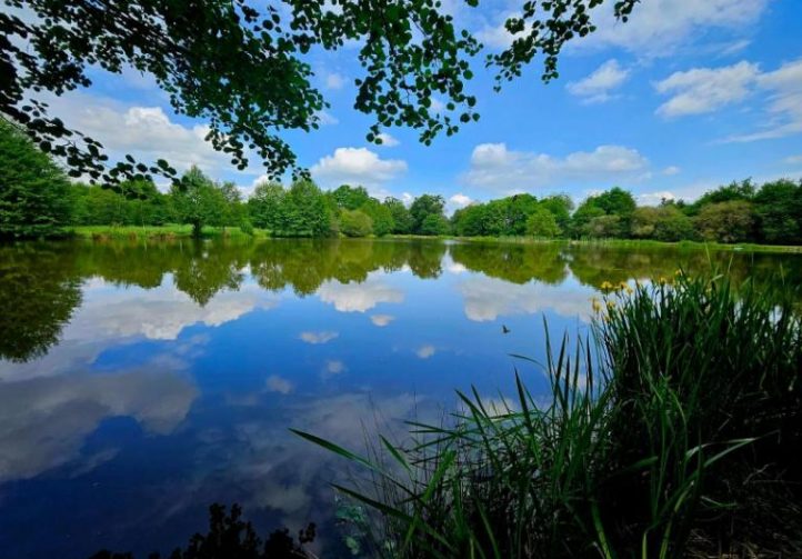 Lac des Demoiselles Image