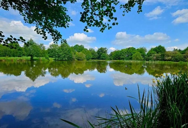 Lac des Demoiselles Image
