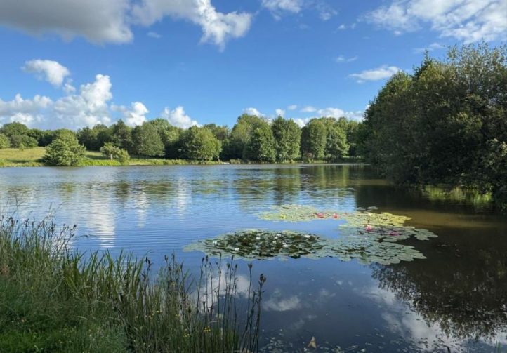Lac des Demoiselles Image