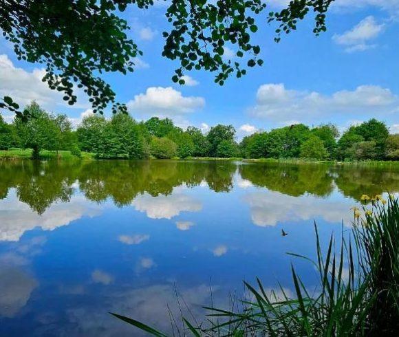 Lac des Demoiselles Image